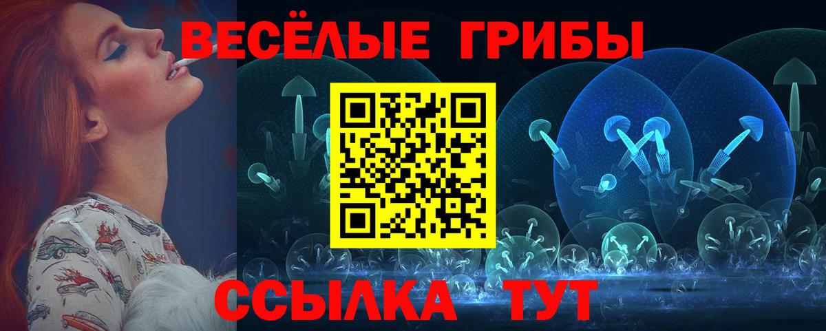 где купить наркотик  Вход с VPN  Дзержинск  Псилоцибиновые грибы GOLDEN TEACHER  Галлюциногенные грибы MAGIC MUSHROOMS 